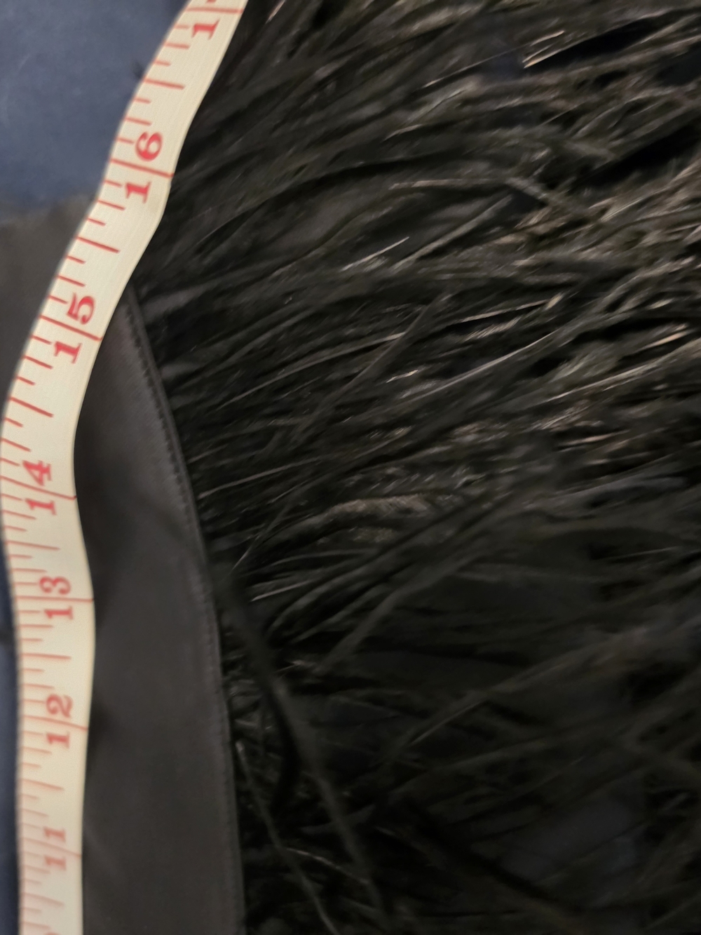 Bebe Black Feather-Trim Mini Skirt - Picture 5 of 8